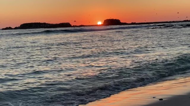 A calm and peaceful sunset in Punta Mita, Mexico. Birds flying over the horizon while boy is playing in the sand.