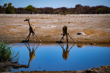 2018-10 Namibia