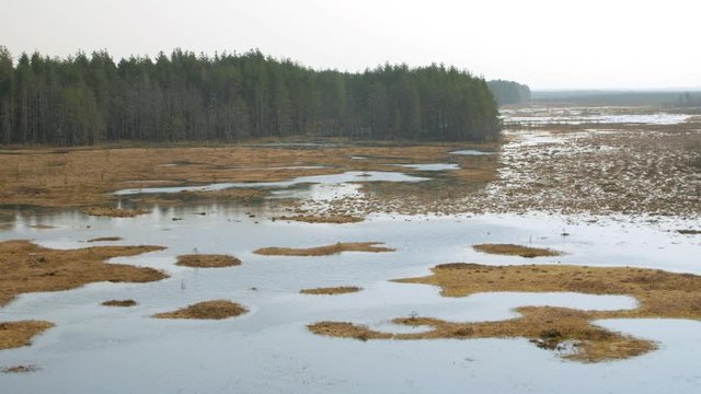 Panning over marshland at midday on a tranquil Spring day in the wilderness