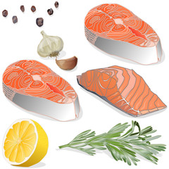 Raw salmon fillets with herbs on white background. Vector illustration
