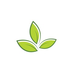 Green leaf logo