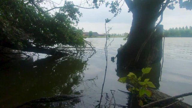 Slowmo 4K footage of the peaceful water of the Zwaakse Weel, 's-Gravenpolder, Zeeland, Netherlands.