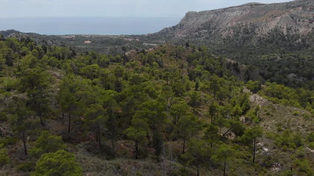 Aerial of beautiful Landscape with Forest, Hills and Mediterranean Sea