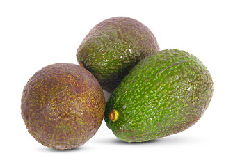 avocado an isolated on white background