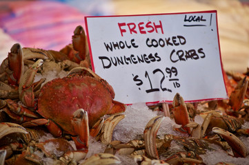 Fresh whole cooked dungeness crab on ice