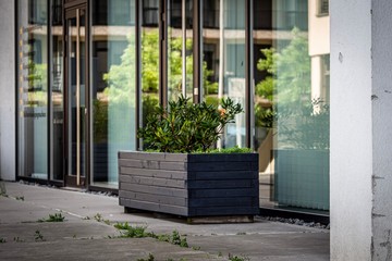 entrance to the house