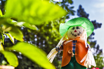 Scarecrow doll in the garden