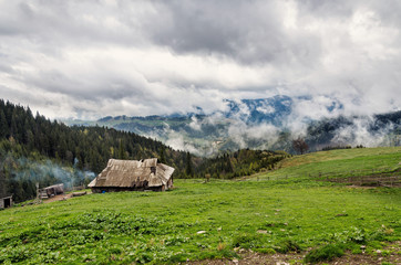 Fototapeta na wymiar Morning in the clouds in the mountains of the Ukrainian Carpathians. Clouds in the mountains. Mountain shepherd.