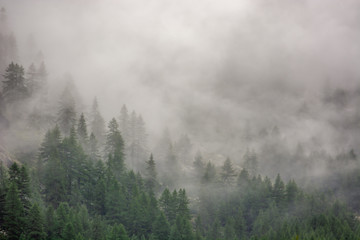 Montagne dans la brume
