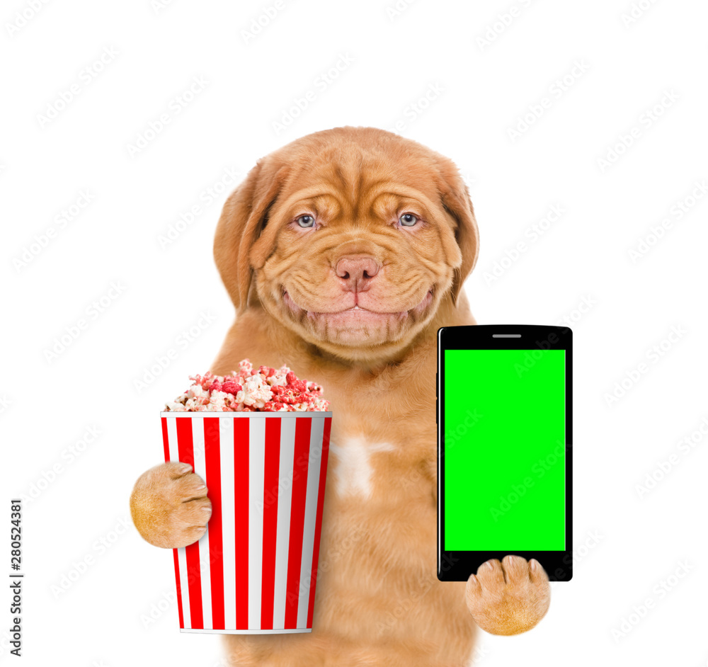 Poster smiling puppy with popcorn basket and smartphone. isolated on white background