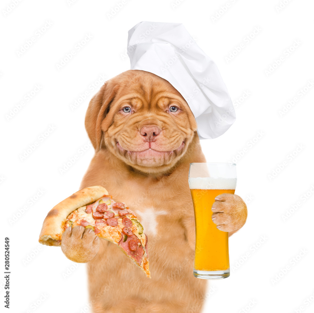 Poster smiling puppy in chef's hat holding pizza and a glass of beer. isolated on white background