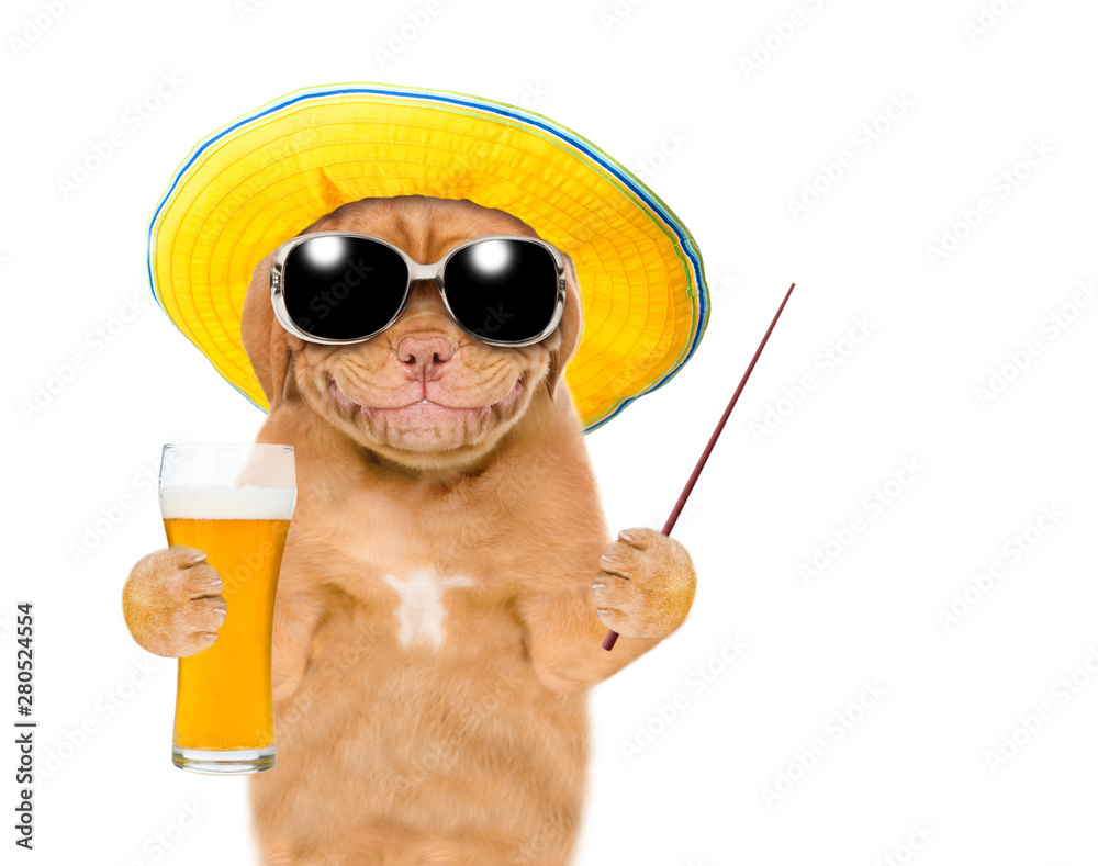 Poster Smiling puppy in summer hat holds glass of light beer and pointing away on empty space. isolated on white background