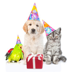 Group of pets with party hats sitting together with gift box. Isolated on white background