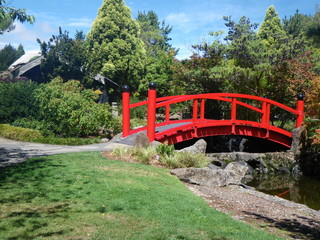 Fototapeta premium Japanese style bridge in garden