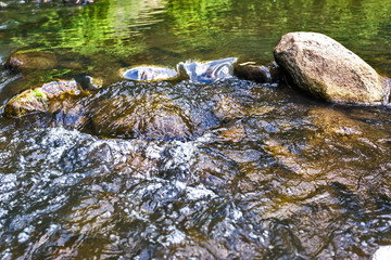 stones in water with reflection of trees