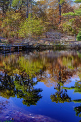 Reflections in a Japanese garden pond in Autumn