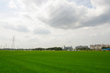 green field and power line tower