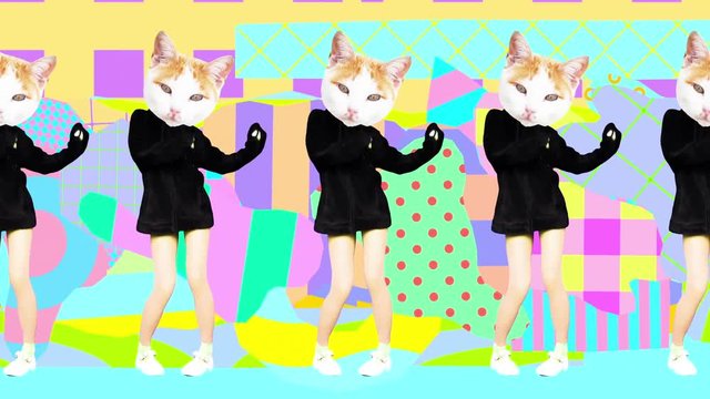 Gif motion art. Dancing Pretty Kitty on abstract background
