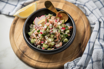 Norddeutscher Friesischer Nordseekrabben Salat in Schale mit Gurken, Radieschen, Zwiebeln, Dill und Zitronen auf Holz Brett