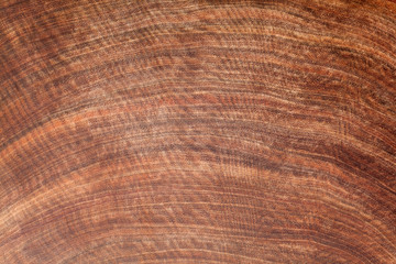 Brown ironwood texture background. Cross section.