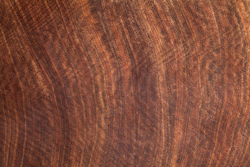 Brown ironwood texture background. Cross section.