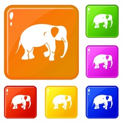 Elephant icons set collection vector 6 color isolated on white background