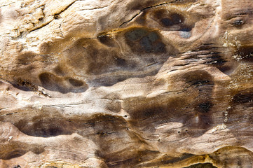 Texture of dry old wood burnt by fire, sun dried lying on a sandy seashore