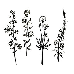 A set of flowers. Blooming twigs with leaves are drawn by hand with ink and a black pen. Decorative flowers on an isolated white background. Element for design.