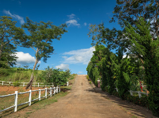 Fototapeta na wymiar Landscape View of Street with Green Tree and Blue Sky