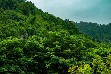 Close up on the hill of the mountain