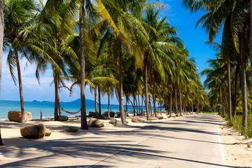 Beach Ban Krut Beach idyllic with coconut