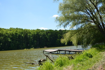Obraz premium wooden bench in the park