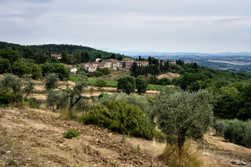 Fototapeta na wymiar landscape in tuscany