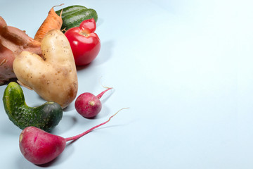 Group of ugly vegetables on light blue background.  Vitamins against virus concept. Healthy food...