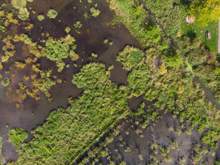 Photo of swamp and landscape top view, texture for design.