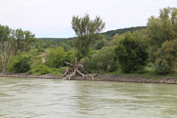 Riverbank of Danube river between Bratislava and Devin, Bratislava, Slovakia