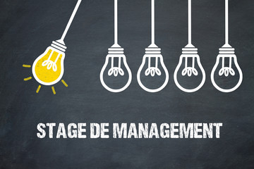 Stage de management 