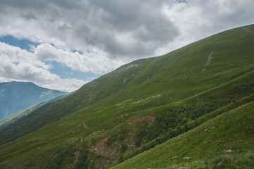 Fototapeta na wymiar Large scenery of rocky mountains and green hills. many sheeps. Kazbegi Georgia