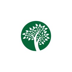 Obraz premium Tree logo template vector icon illustration