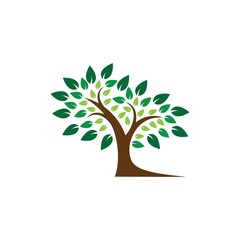 Tree logo template vector icon illustration