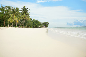 Beautiful panoramic tropical beach with coconut palm and white sand                          