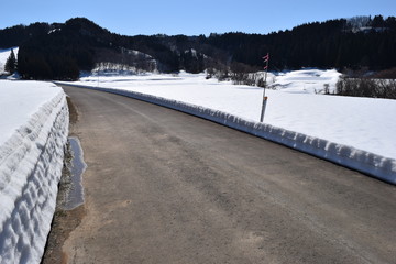 Obraz premium 北国の道路