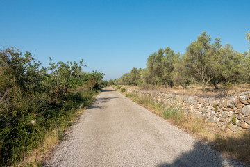 The august road between Sant mateu and Tortosa