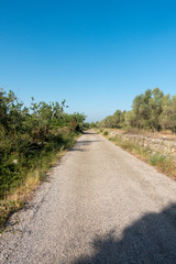 Fototapeta na wymiar The august road between Sant mateu and Tortosa