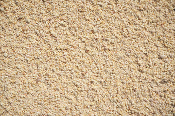 sand texture close up detail