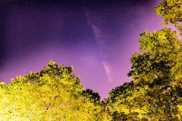 Traumhafter Sternenhimmel über beleuchteten Bäumen