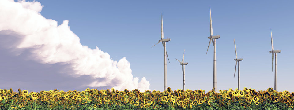 Windkraftanlagen in einem Sonnenblumenfeld