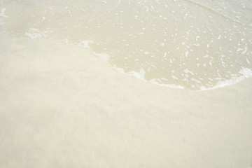 Tropical beach with white coral sand and calm wave with space for text background                   