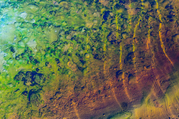 abstract green and yellow background