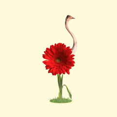 Self growned. An ostrich as bright red flower, growning on the ground on yellow background. Negative space to insert your text. Modern design. Contemporary art. Creative conceptual and colorful